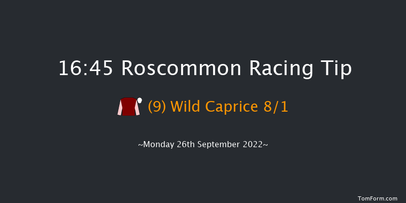 Roscommon 16:45 Maiden Chase 21f Mon 29th Aug 2022