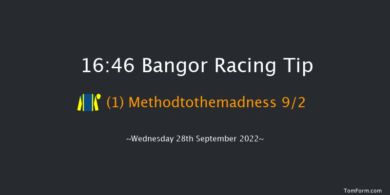 Bangor 16:46 Handicap Chase (Class 5) 24f Tue 23rd Aug 2022