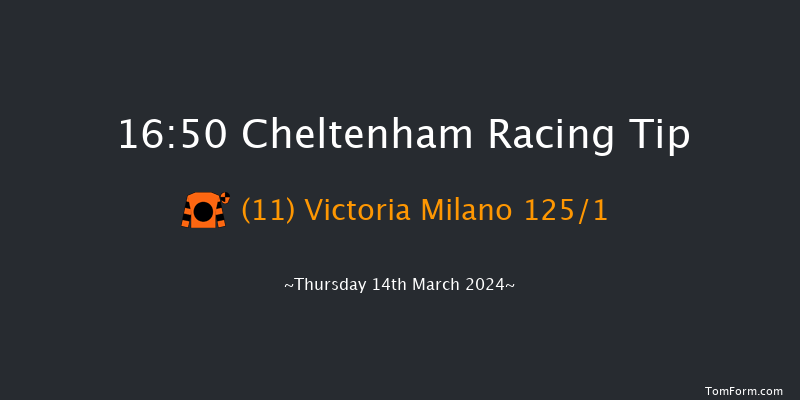 Cheltenham  16:50 Maiden Hurdle
(Class 1) 17f Wed 13th Mar 2024