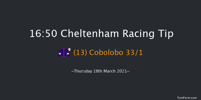 Fulke Walwyn Kim Muir Challenge Cup Handicap Chase (Sponsored by the JRL Group) (GBB Race) Cheltenham 16:50 Handicap Chase (Class 2) 26f Wed 17th Mar 2021