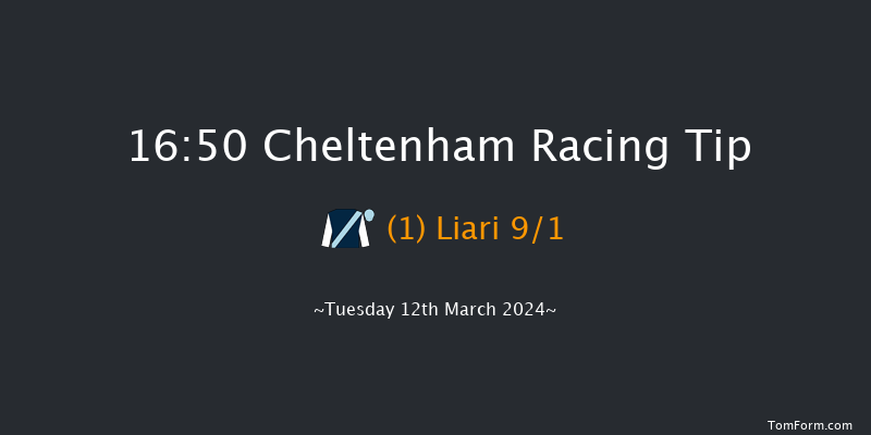 Cheltenham  16:50 Handicap Hurdle (Class 1)
16f Sat 27th Jan 2024