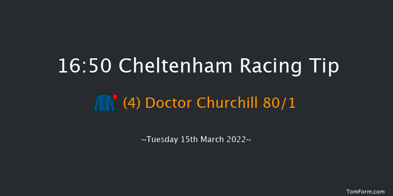 Cheltenham 16:50 Handicap Hurdle (Class 1) 16f Sat 29th Jan 2022