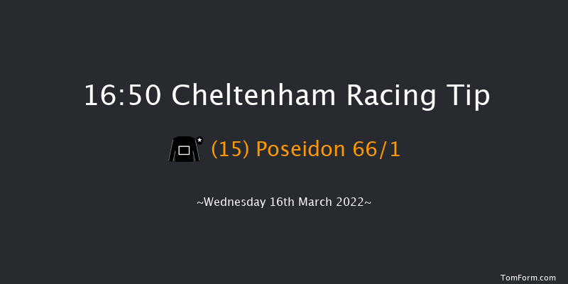 Cheltenham 16:50 Handicap Chase (Class 1) 16f Tue 15th Mar 2022