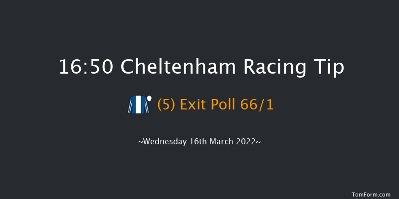 Cheltenham 16:50 Handicap Chase (Class 1) 16f Tue 15th Mar 2022