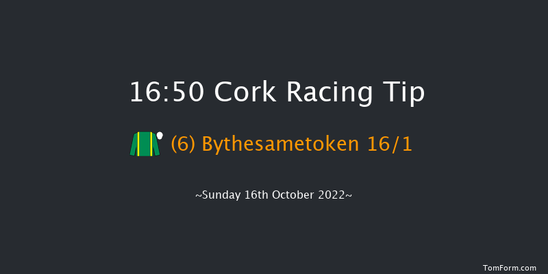 Cork 16:50 Handicap Chase 18f Tue 27th Sep 2022