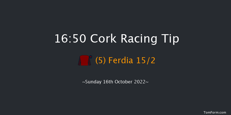 Cork 16:50 Handicap Chase 18f Tue 27th Sep 2022