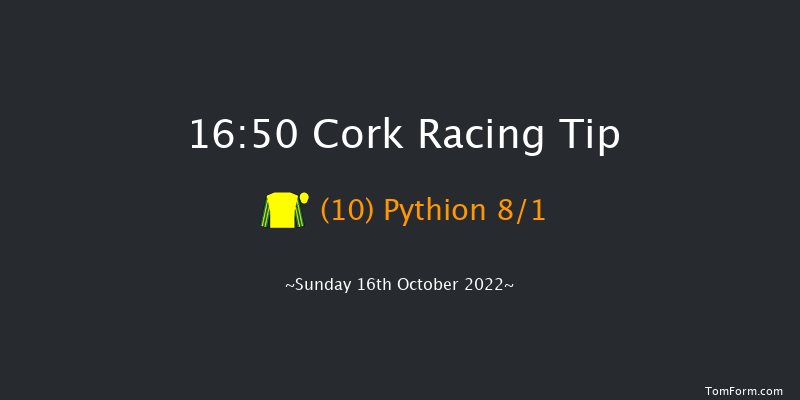 Cork 16:50 Handicap Chase 18f Tue 27th Sep 2022