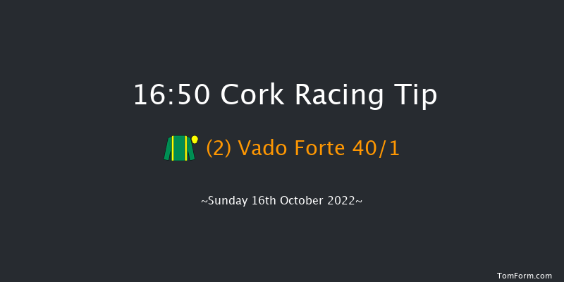 Cork 16:50 Handicap Chase 18f Tue 27th Sep 2022