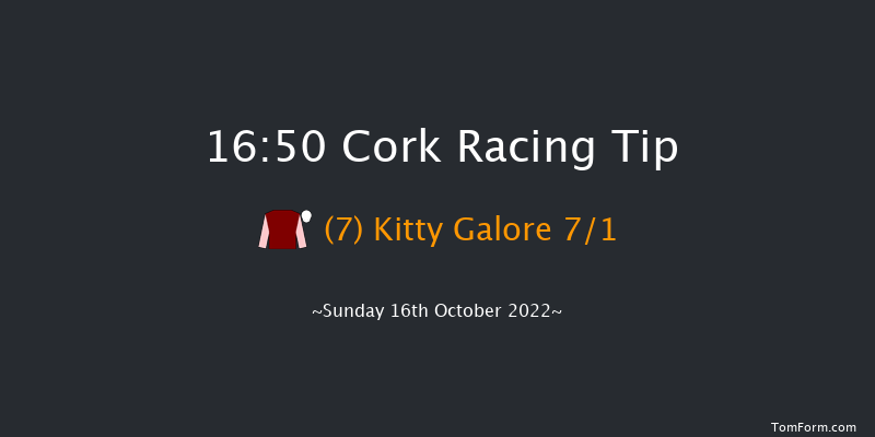 Cork 16:50 Handicap Chase 18f Tue 27th Sep 2022