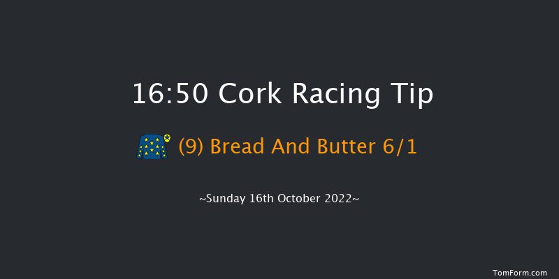 Cork 16:50 Handicap Chase 18f Tue 27th Sep 2022