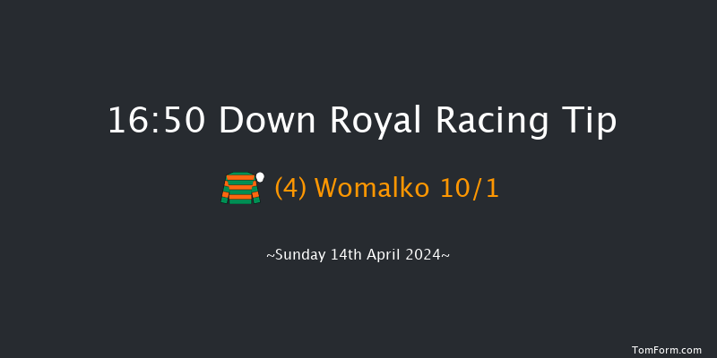 Down Royal  16:50 Handicap Chase 20f Sun 17th Mar 2024