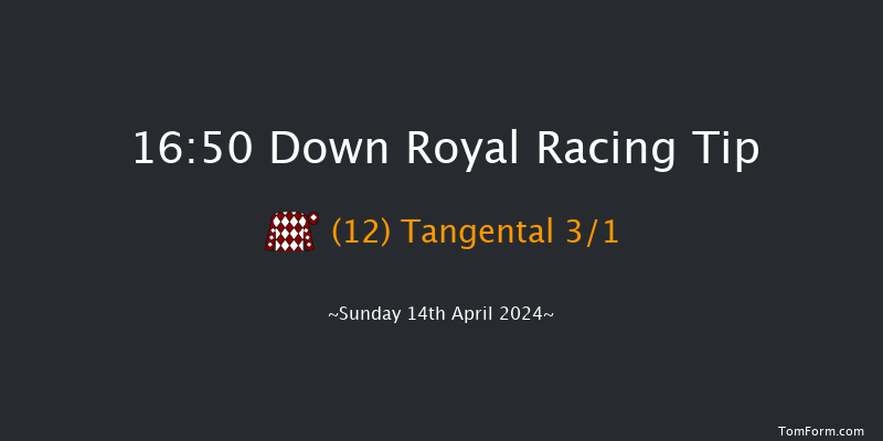 Down Royal  16:50 Handicap Chase 20f Sun 17th Mar 2024