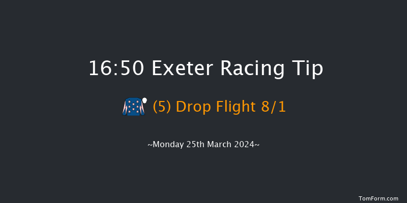 Exeter  16:50 Hunter Chase (Class 5) 24f Tue 19th Mar 2024