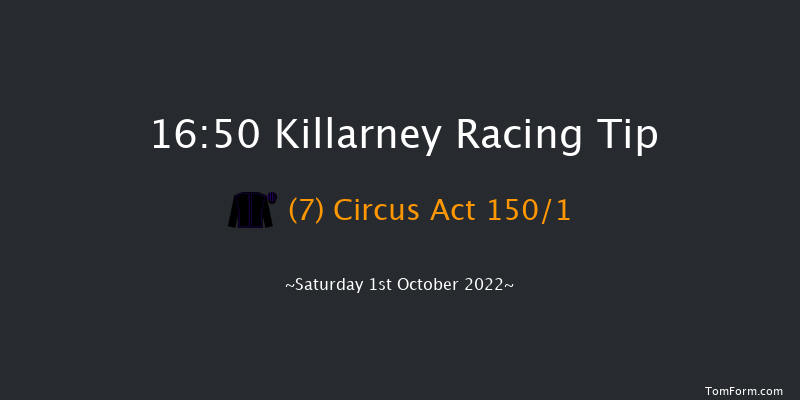 Killarney 16:50 Handicap 11f Sat 20th Aug 2022