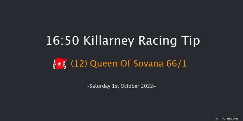 Killarney 16:50 Handicap 11f Sat 20th Aug 2022