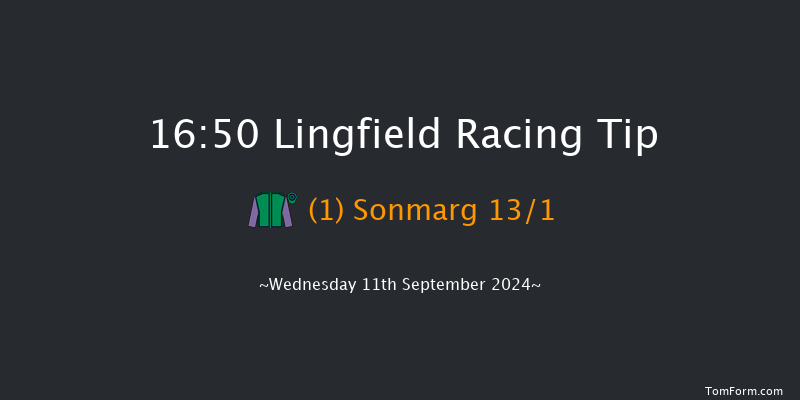 Lingfield  16:50 Handicap (Class 5) 7f Tue 10th Sep 2024