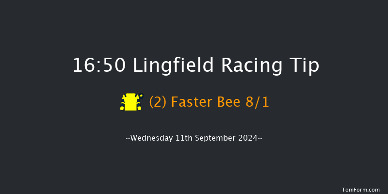 Lingfield  16:50 Handicap (Class 5) 7f Tue 10th Sep 2024