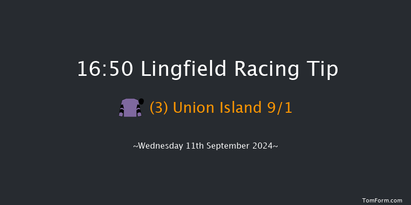 Lingfield  16:50 Handicap (Class 5) 7f Tue 10th Sep 2024