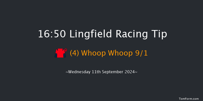 Lingfield  16:50 Handicap (Class 5) 7f Tue 10th Sep 2024