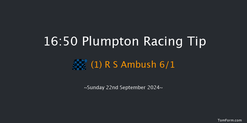 Plumpton  16:50 Handicap Hurdle (Class 5) 20f Sun 12th May 2024