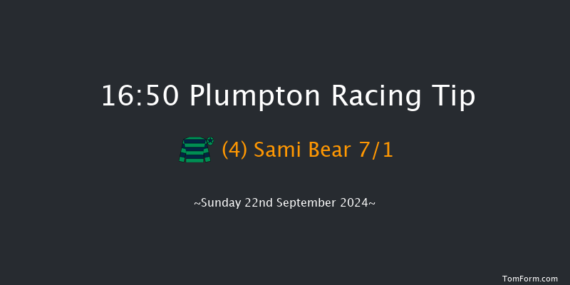 Plumpton  16:50 Handicap Hurdle (Class 5) 20f Sun 12th May 2024