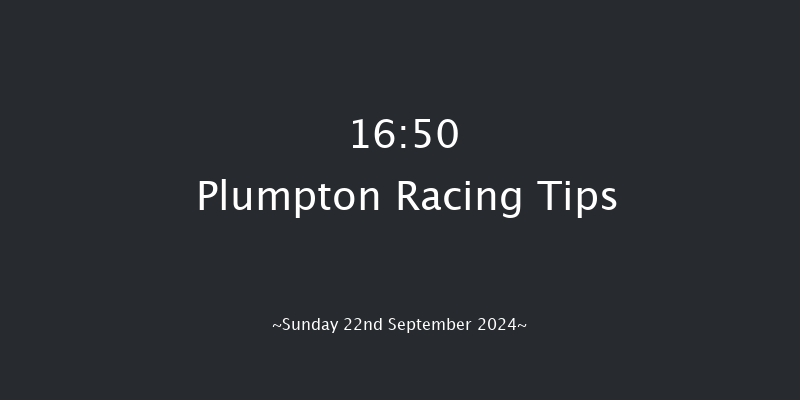 Plumpton  16:50 Handicap Hurdle (Class 5) 20f Sun 12th May 2024