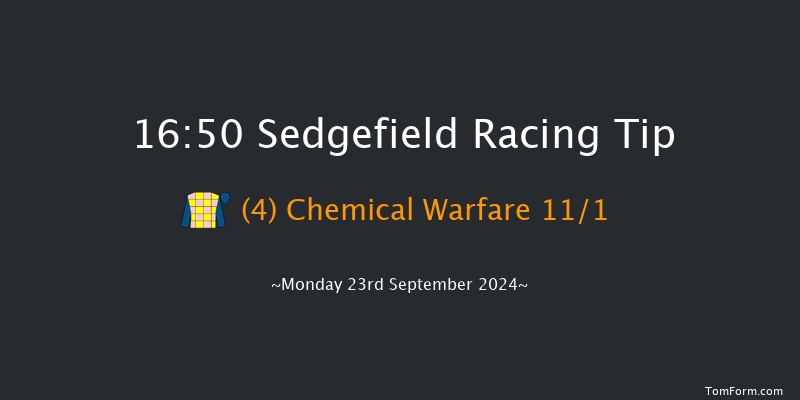 Sedgefield  16:50 Handicap Chase (Class 5) 26f Fri 10th May 2024