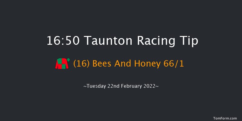 Taunton 16:50 Handicap Hurdle (Class 5) 24f Tue 8th Feb 2022