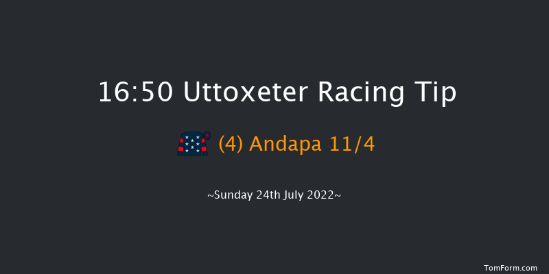 Uttoxeter 16:50 Handicap Hurdle (Class 5) 16f Fri 22nd Jul 2022