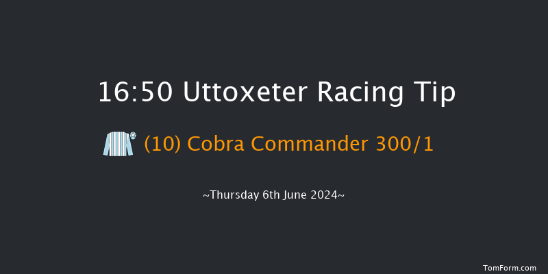 Uttoxeter  16:50 Handicap Chase (Class 5)
24f Sun 26th May 2024