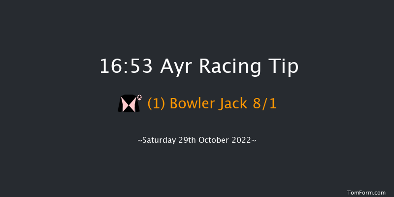 Ayr 16:53 NH Flat Race (Class 4) 16f Mon 24th Oct 2022