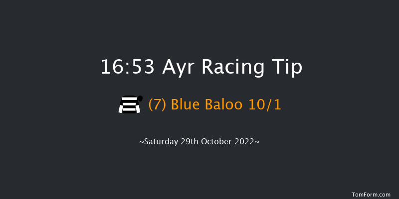 Ayr 16:53 NH Flat Race (Class 4) 16f Mon 24th Oct 2022