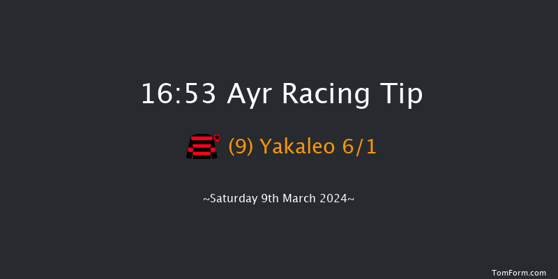 Ayr  16:53 NH Flat Race (Class 5) 16f Fri 8th Mar 2024