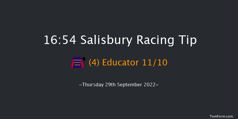 Salisbury 16:54 Handicap (Class 2) 10f Thu 1st Sep 2022