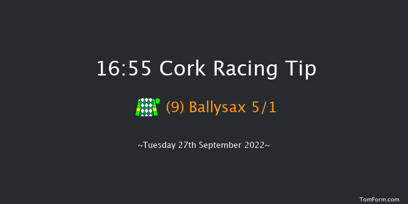 Cork 16:55 Handicap 8f Wed 7th Sep 2022