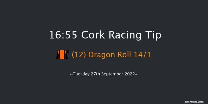 Cork 16:55 Handicap 8f Wed 7th Sep 2022