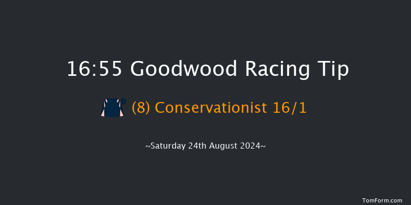 Goodwood  16:55 Handicap (Class 3) 5f Fri 23rd Aug 2024