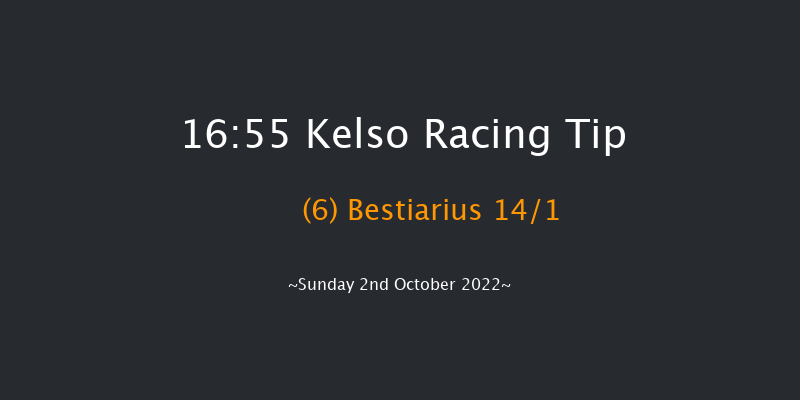 Kelso 16:55 Handicap Hurdle (Class 5) 21f Wed 14th Sep 2022