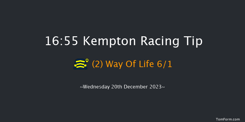 Kempton 16:55 Handicap (Class 4) 12f Wed 13th Dec 2023