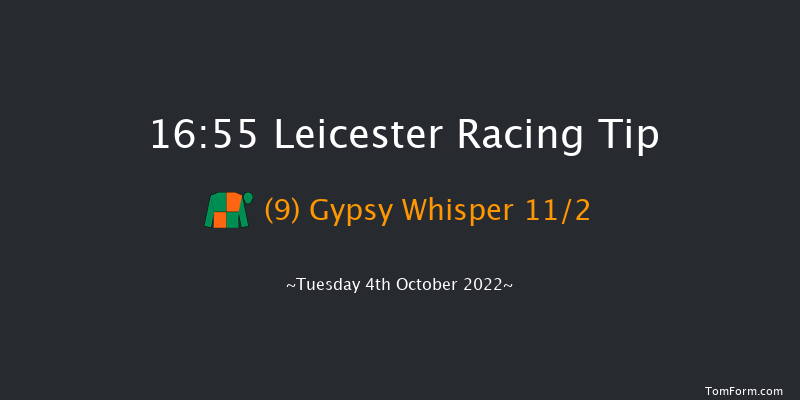 Leicester 16:55 Handicap (Class 5) 7f Tue 6th Sep 2022