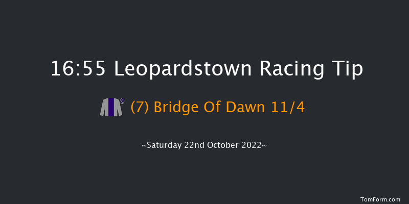 Leopardstown 16:55 Handicap 10f Sat 15th Oct 2022