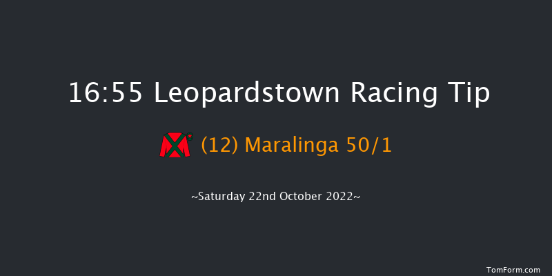 Leopardstown 16:55 Handicap 10f Sat 15th Oct 2022