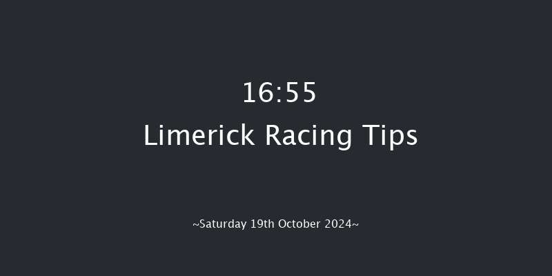 Limerick  16:55 Handicap Hurdle 21f Sun 7th Jul 2024