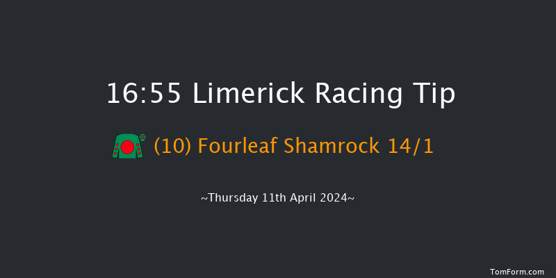 Limerick  16:55 Handicap Hurdle 19f Sun 24th Mar 2024