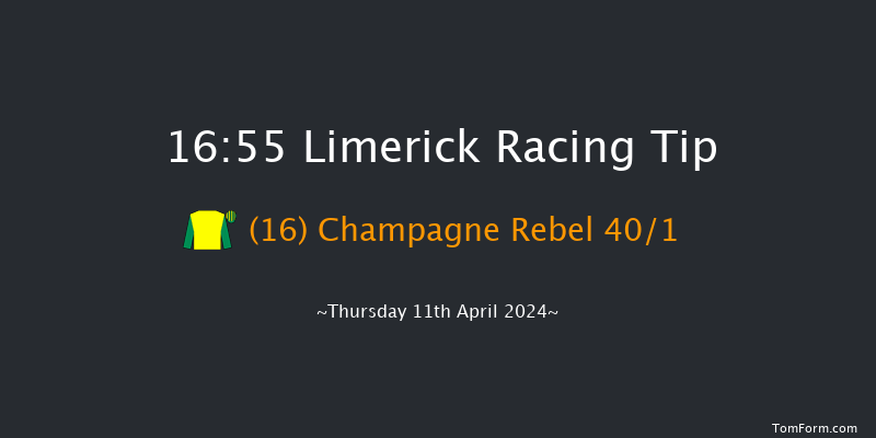 Limerick  16:55 Handicap Hurdle 19f Sun 24th Mar 2024