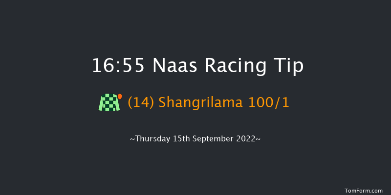 Naas 16:55 Maiden 7f Sun 21st Aug 2022