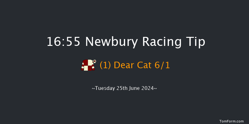 Newbury  16:55 Stakes (Class 4) 6f Thu 13th Jun 2024