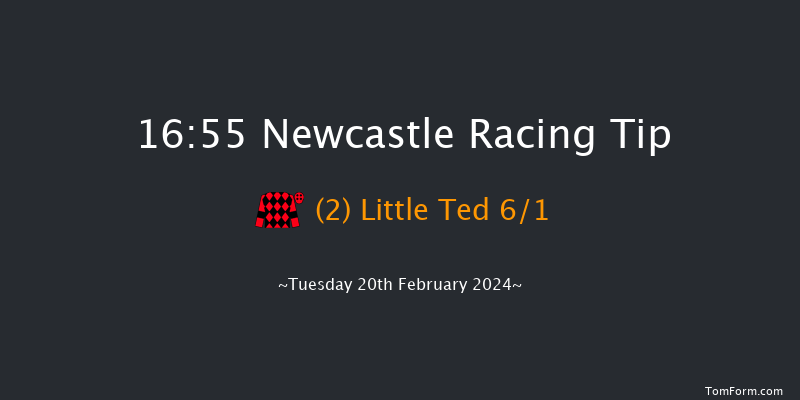 Newcastle  16:55 Handicap
(Class 6) 10f Sat 17th Feb 2024