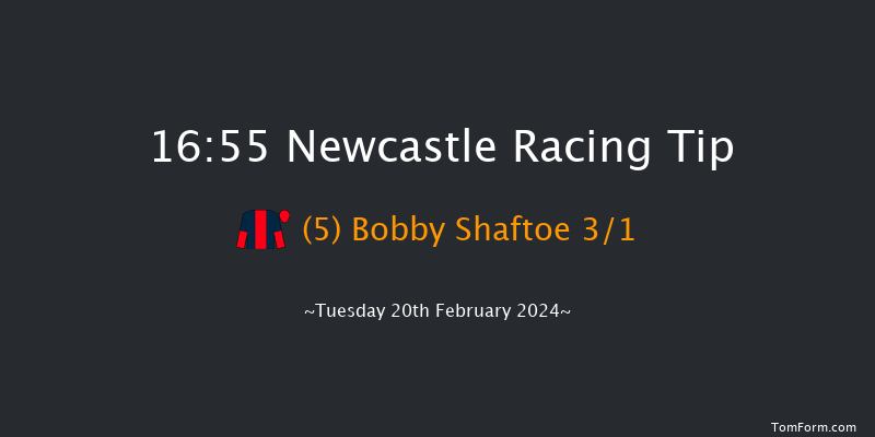 Newcastle  16:55 Handicap
(Class 6) 10f Sat 17th Feb 2024