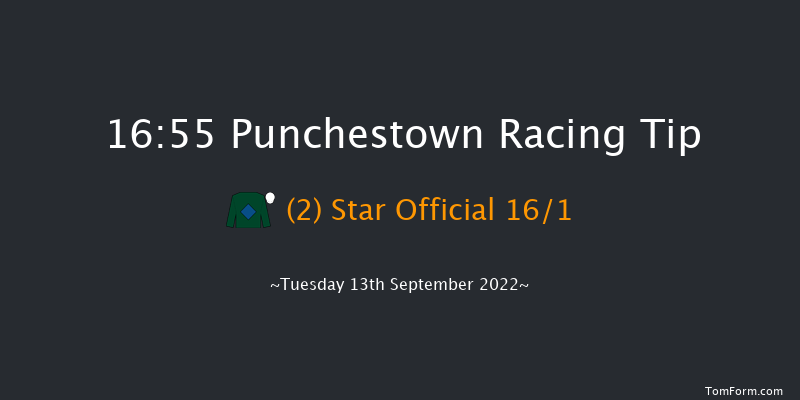 Punchestown 16:55 Handicap 9f Sun 29th May 2022